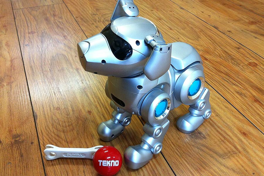 جذابیت ظاهری از مهمترین اولویتهایی است که در طراحی و تولید ربات حیوانات مورد توجه قرار میگیرد.