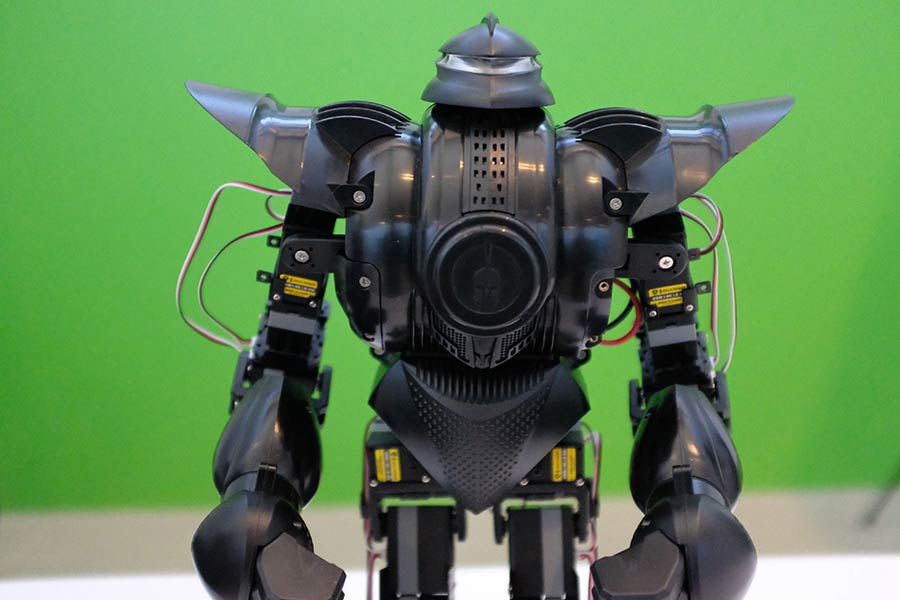 رباتهای انساننما بهطور ویژه برای گروههای سنی بین ۳ تا ۸ سال طراحی شده است.