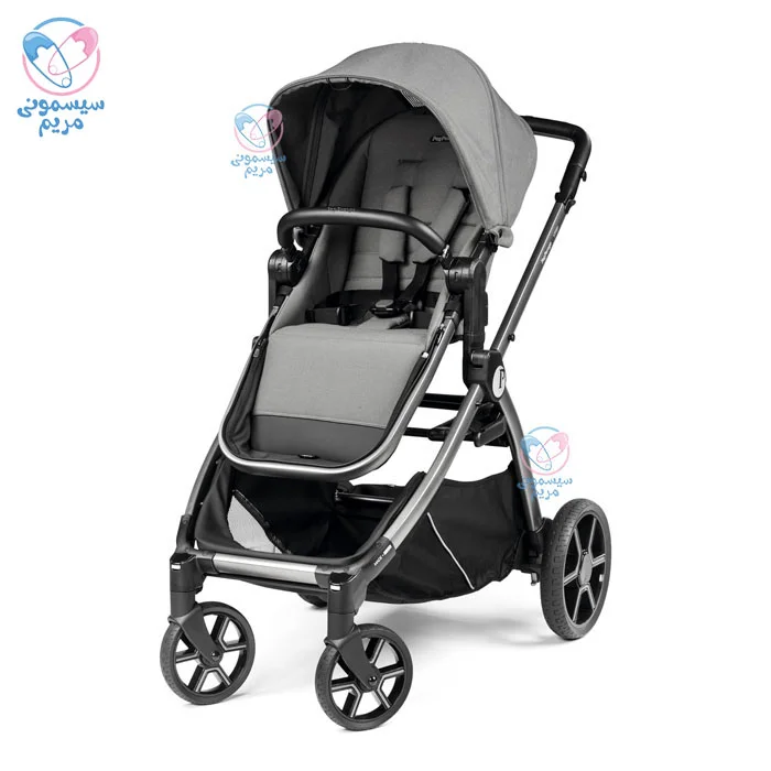 با قابلیت نصب کریر روی کالسکه